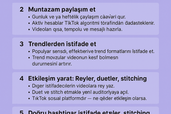 TikTokda izleyici artirmagin yollarini gosteren infografik