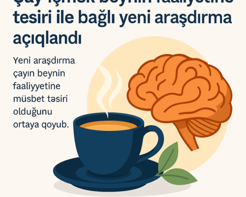 cay icmek beynin faaliyetine tesir eden arasdirma illustrasiyasi