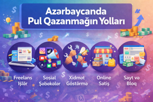 Azerbaycanda freelans isler, sosial sebeke gelirleri, online satis, sayt ve blog ile pul qazanmag yollari gosterilen infoqrafika